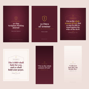 Full Armour Bundle: verse cards, journal, wall art and phone wallpapers